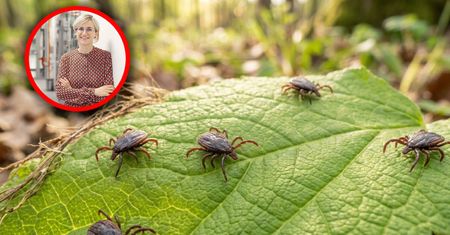 Litwa. OIOM pęka w szwach. "Nie połykają, nie oddychają"