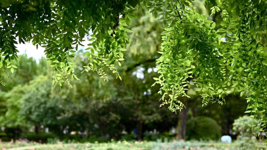 fot. Pexels/ilustracyjne