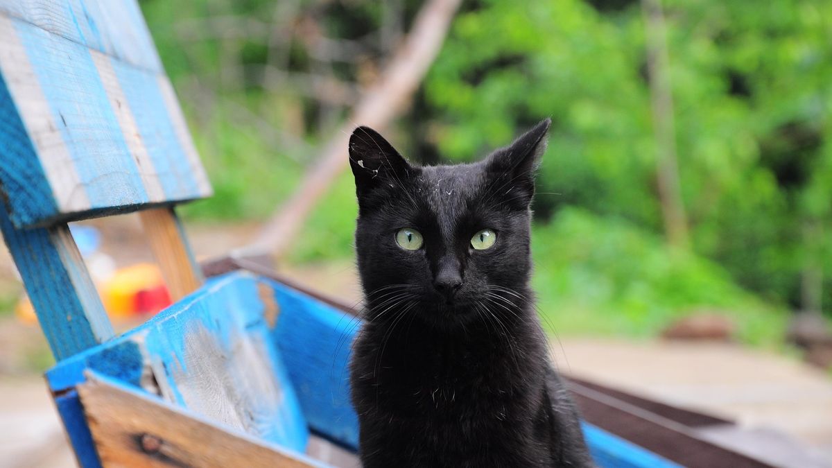 Większość Polaków pozostaje przesądna
