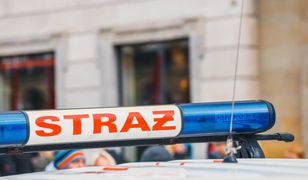 Pożar w Toruniu. 15 zastępów straży pożarnej w akcji