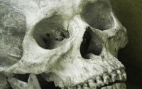 Rolnictwo neolityczne nie przyspieszyo wzrostu populacji