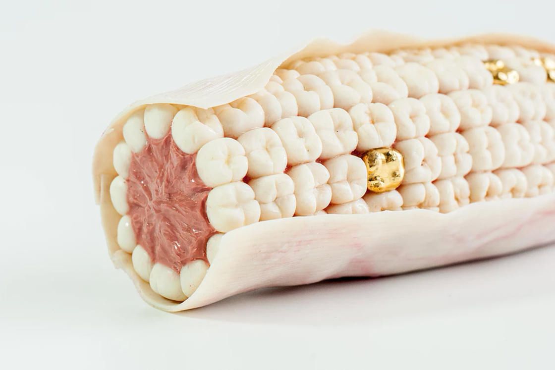 Roni Landa sfotografowała interesującą martwą naturę, zrobioną z... mięsa?! 5