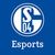 Schalke 04 Esports