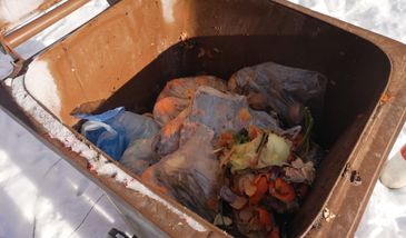 Jak segregować odpady? Na pewno nie wrzucając foliowe torebki do pojemników na bioodpady