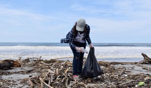 Hiszpania. Z plaż zebrano ponad siedem ton śmieci