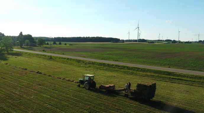 Rodzinny biznes doktora Pola