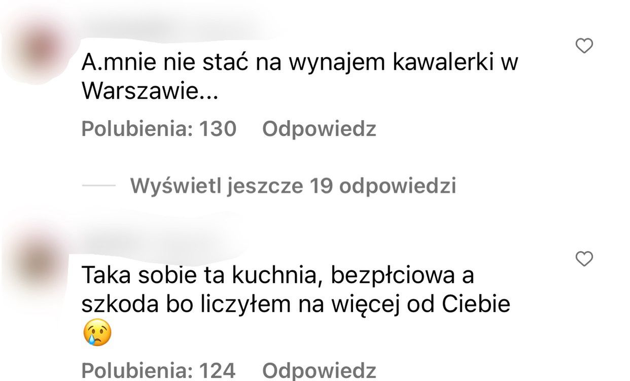 Andziaks pokazała projekt kuchni