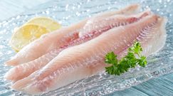 Łupacz – smaczna i wartościowa ryba