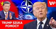 Problemy z Cieśniną Ormuz. Trump ostrzega NATO. "Słabe przywództwo"