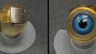 Chip, który przywróci chorym wzrok 1