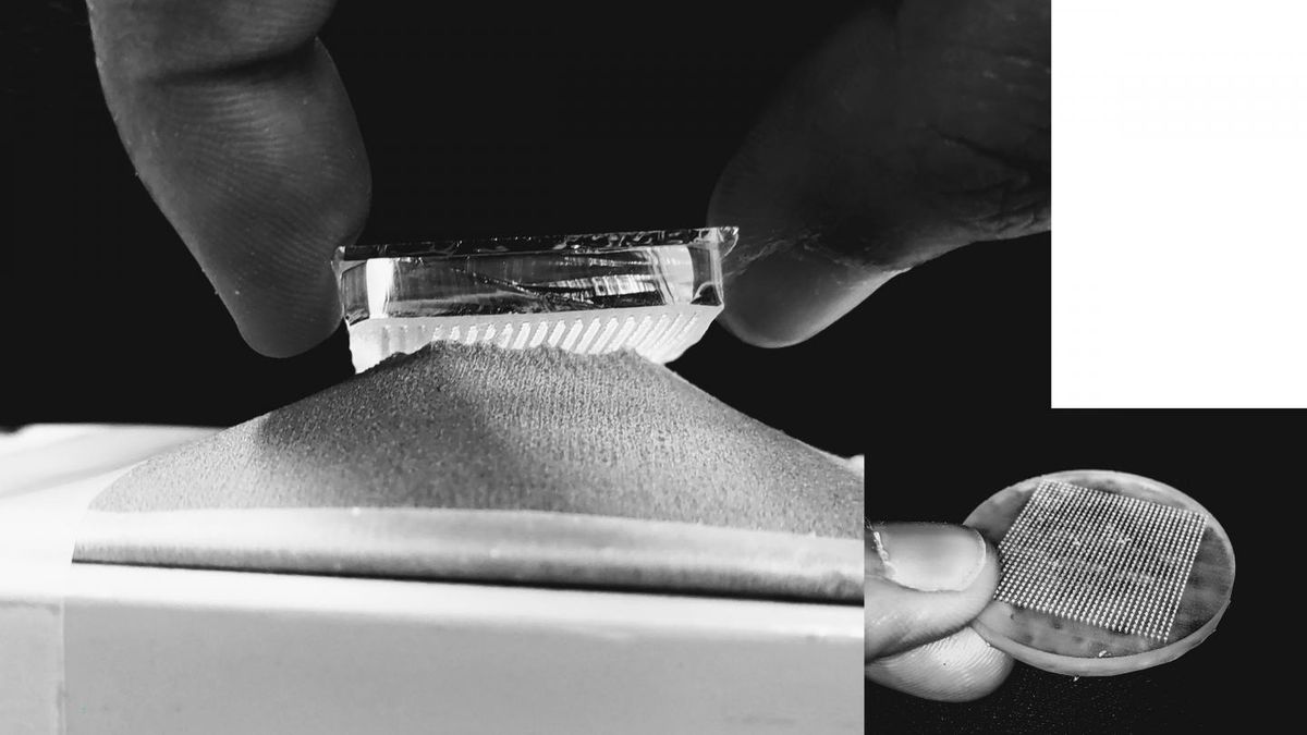 Przyczepione na grzyby. Rewolucyjne rzepy, które pozwolą robotom chodzić po ścianach 1