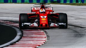 GP Abu Zabi: Sebastian Vettel przewodził czołówce w 1. treningu