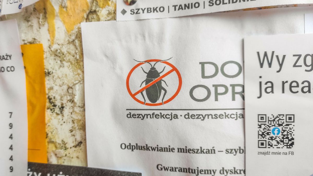 Białostockie osiedla mają problem z pluskwami