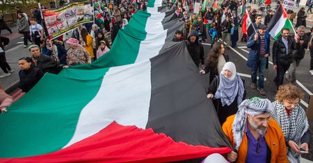 Propalestyńskie protesty. Żądają zawieszenia broni