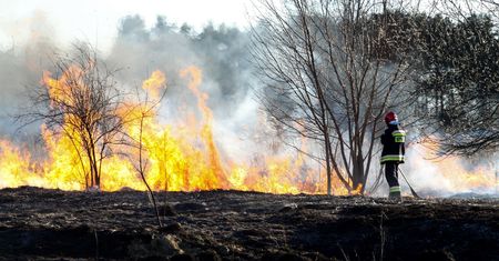 Nowe ognisko pożaru na poligonie w Zielonce. Akcja strażaków