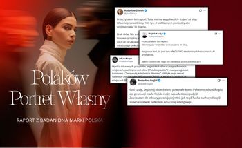 Ministerstwo płaci 200 tys. zł za raport. W środku "polskie płaskiz" i Katowice na północy