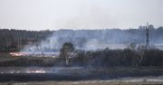 Znów gorąco na Syberii. Temperatura gruntu osiągnęła niepokojącą wartość