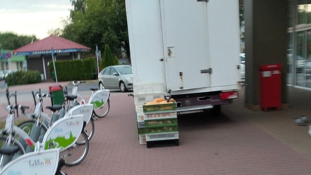 Gołąb siedzący na pieczywie