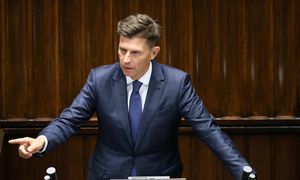 Sejm przyjął poprawkę Petru. Ekonomista alarmuje: co z podatkami?