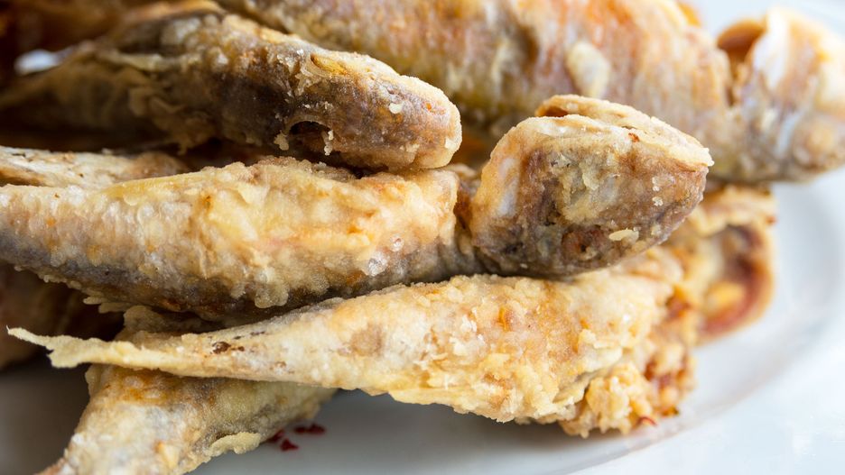 To ryba mało znana w Polsce