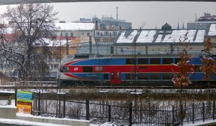 Czesi biją na alarm. Grzyb z Azji zagraża pociągom