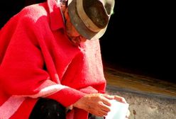 Na żebraniu zarabiają nawet 1000 zł