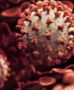 Jednoręki bandyta. Jak mutuje koronawirus