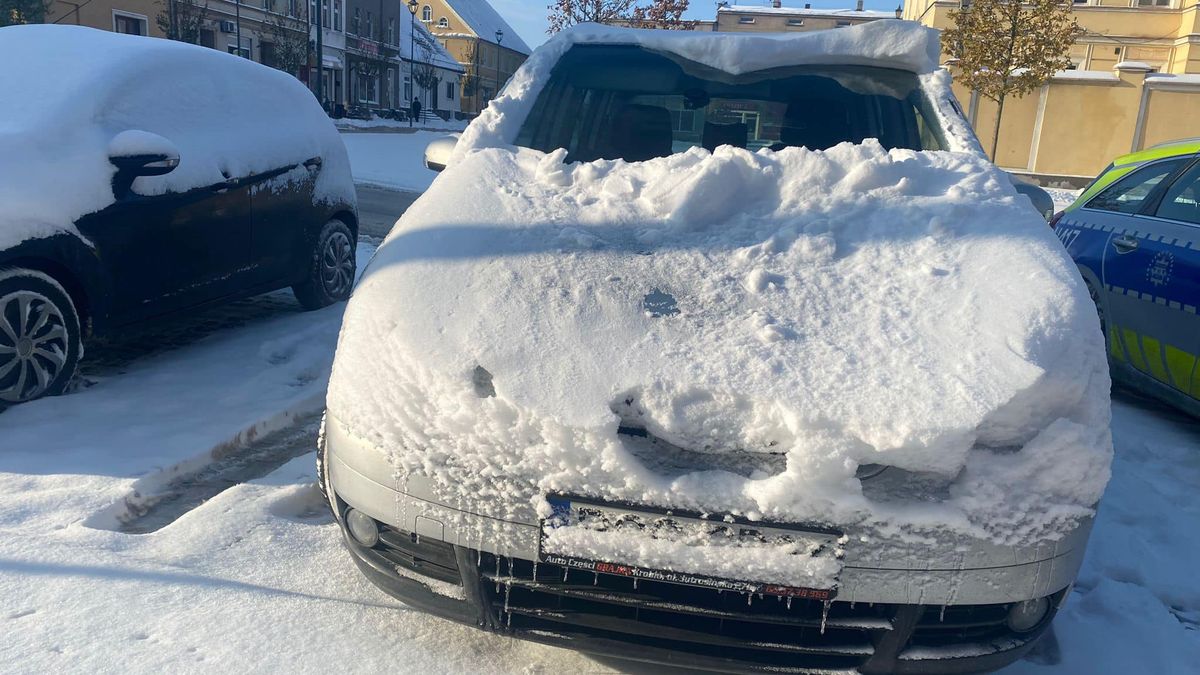 Kobieta została ukarana mandatem za nieodśnieżone auto.