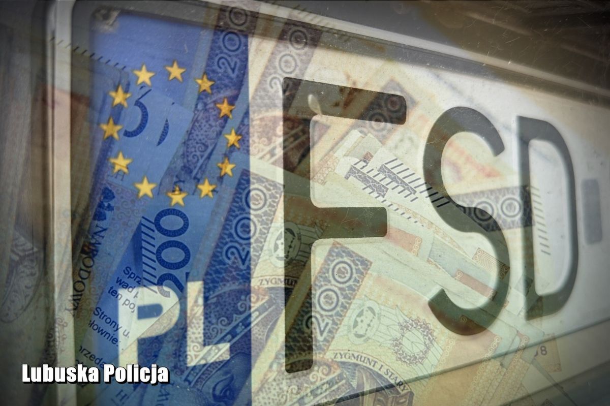 Opłaty rejestracyjne brali do własnej kieszeni. Urzędnicy mieli przywłaszczyć 750 tys. zł