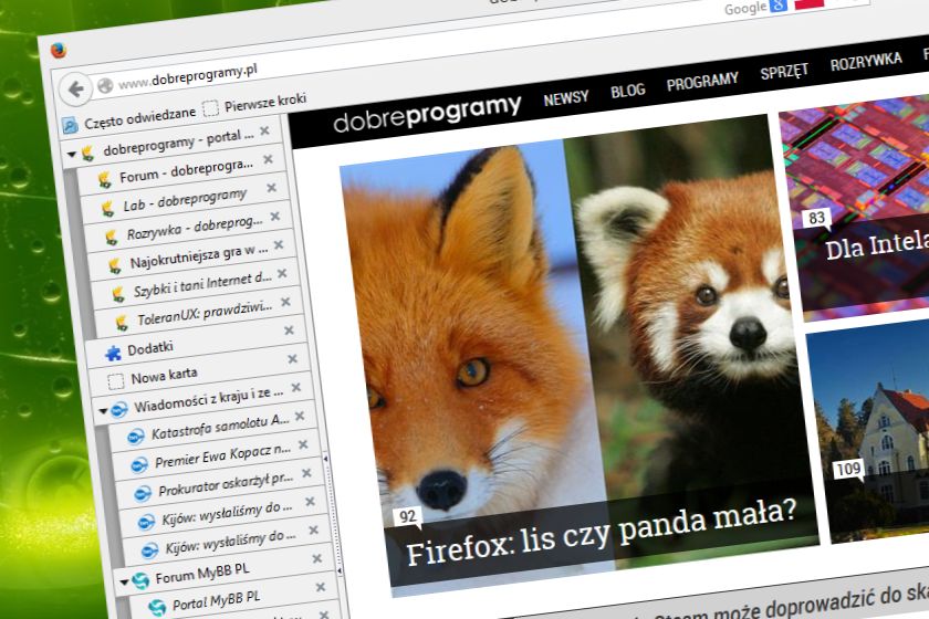 Chrome z bocznymi panelami? Tak, o ile powstaną odpowiednie rozszerzenia