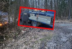 Skandaliczne odkrycie w lesie. Ustalają, kto stwarza poważne zagrożenie