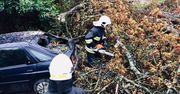 Liczne interwencje straży. Drzewo spadło na samochód