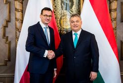 Fogiel o relacjach premierów Polski i Węgier. "Ktoś uznał, że to wygodny kij, by uderzyć w PiS"