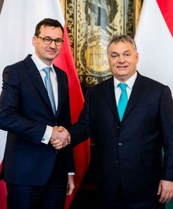 Fogiel o relacjach premierów Polski i Węgier. "Ktoś uznał, że to wygodny kij, by uderzyć w PiS"