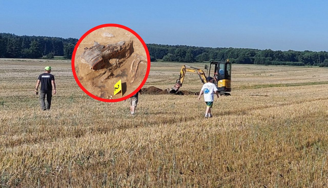 Odkrycie na polu w Polsce. Niemcy reagują. "Wielkie dzięki"