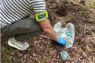 Okradł własnego szefa i zakopał pieniądze w lesie. Grozi mu więzienie