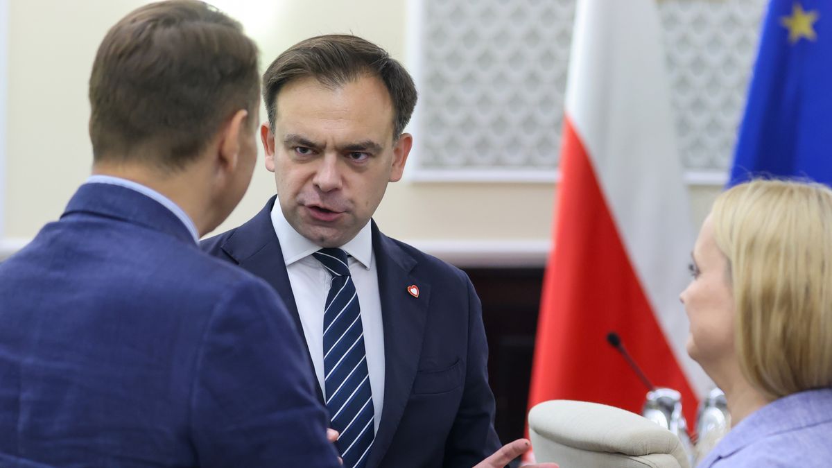 Minister finansów i rozwoju Andrzej Domański