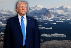 Inwazja USA na Grenlandię? "Byłby to akt zbrojnej agresji"