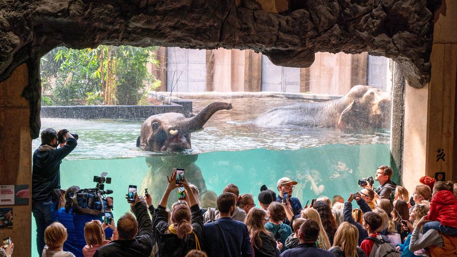 Łódź, 29.04.2022. Słonie indyjskie Aleksander i Taru podczas kąpieli w łódzkim Orientarium, 29 bm. Orientarium to najnowocześniejszy kompleks łódzkiego ZOO, prezentujący faunę i florę Azji Południowo-Wschodniej. (gm/amb) PAP/Grzegorz Michałowski