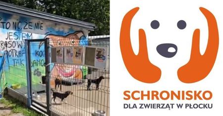 Miasto przejmie płockie schronisko od PreZero. Nadwyżka pójdzie na inwestycje
