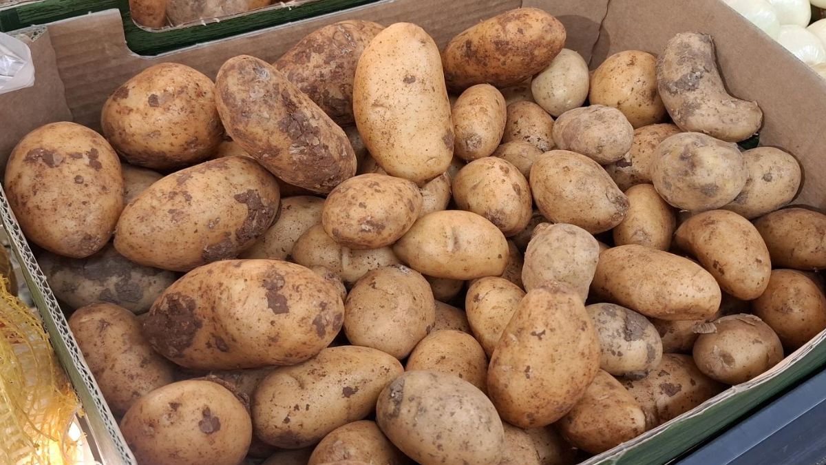 Ziemniaki wczesne pojawiły się w dyskontach