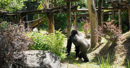 Turyści ciągle to robią. Zoo apeluje. "Ręce nam opadają"