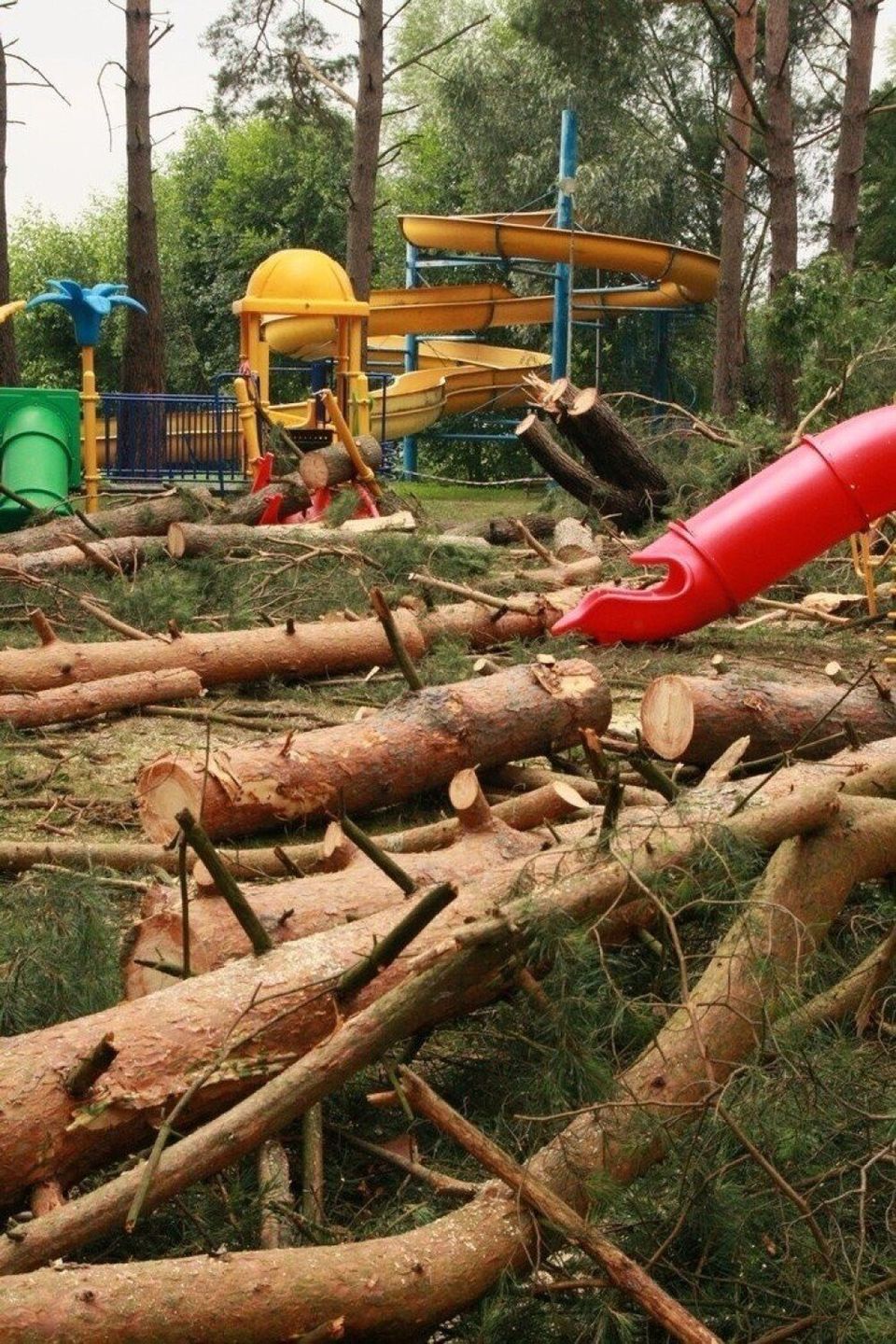 Tak wyglądało popularne kąpielisko nad jez. Głębokim koło Międzyrzecza po przejściu nawałnicy w lipcu 2013 r.