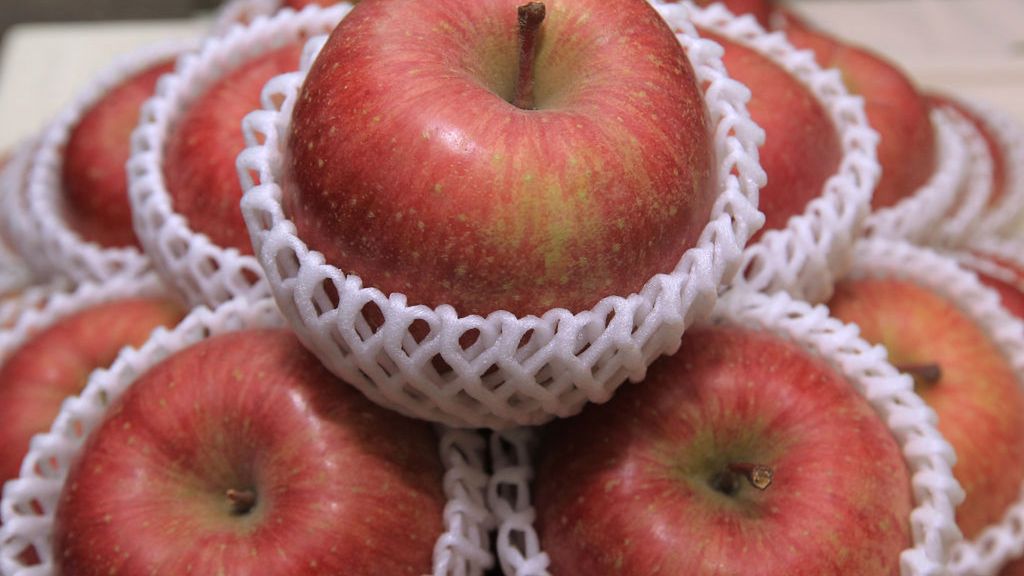 Jabłka Fuji to krzyżówka amerykańskich odmian Red Delicious oraz Ralls Genet.