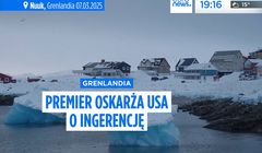 Polska wersja kanału Euronews w dwóch serwisach. Co z Canal+ i Orange?