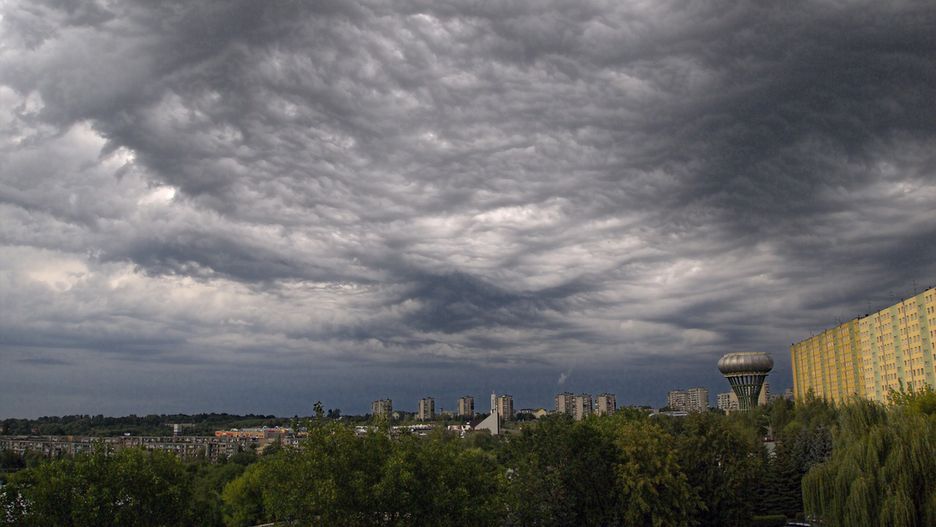 Kandydaci na prezydenta miasta Tarnów.