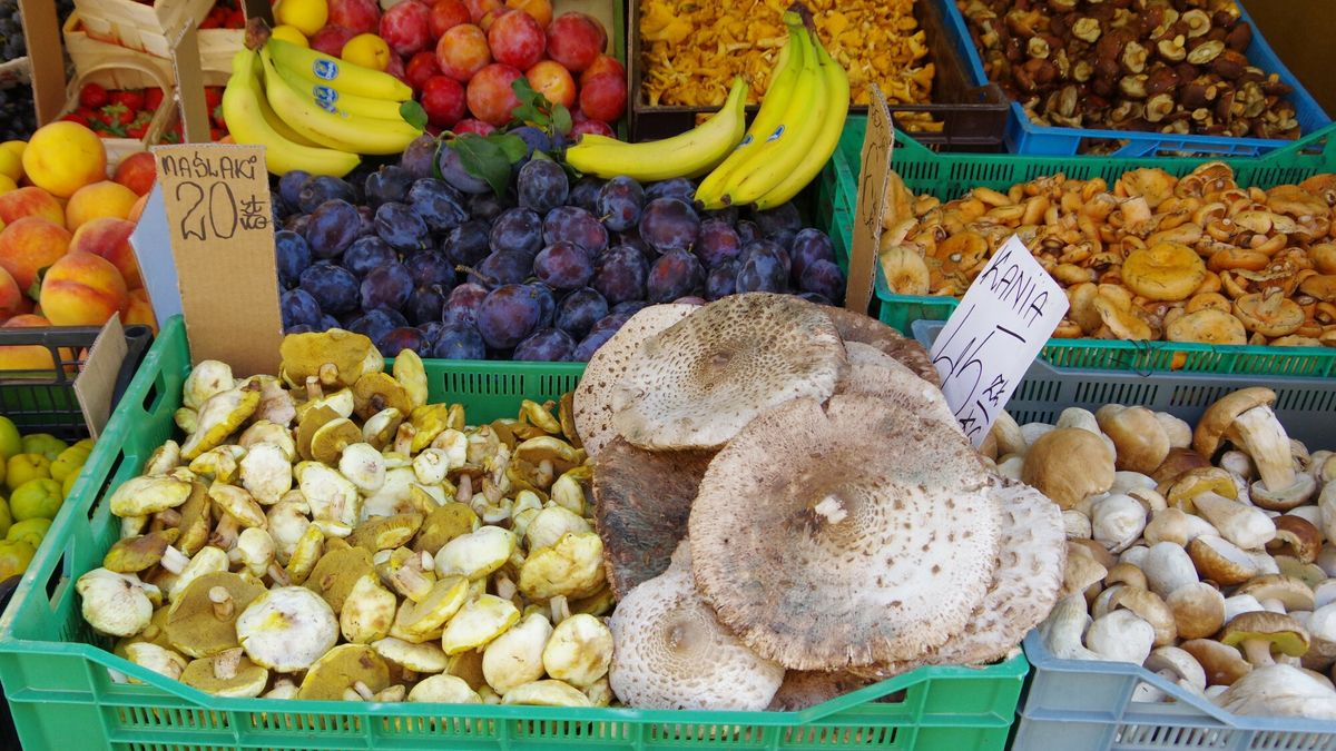 Kurki. Kryzys w zbiorach. Winna pogoda