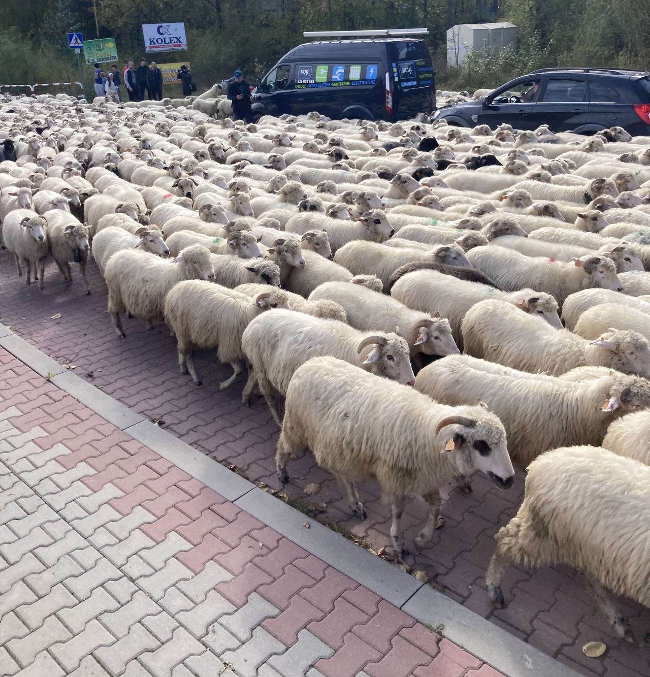 Redyk paraliżuje ruch w mieście