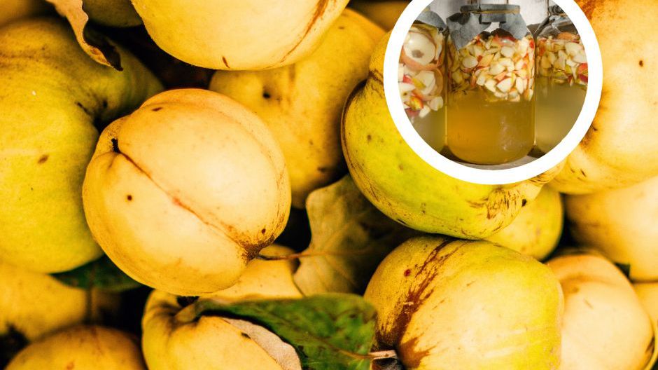 Wspiera odporność, łagodzi zgagę i problemy trawienne. Przyda się też w codziennej pielęgnacji