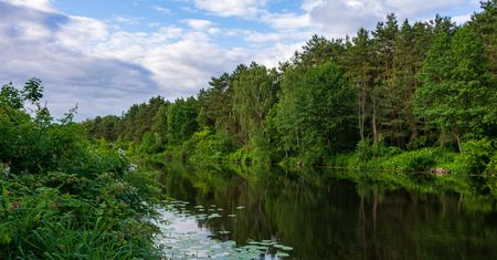 Przebadano ponad 700 rzek. Odkryto prehistoryczny związek